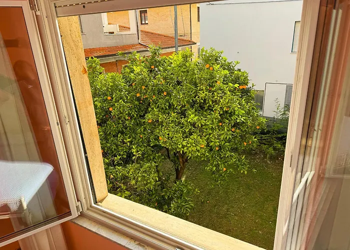 Bel Fiore 3*